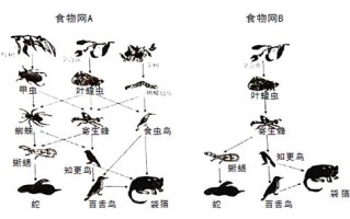 百科知识植物（百科知识植物常识）