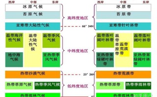 大衣植物生长与环境的关系（浅谈植物生长与环境的关系）