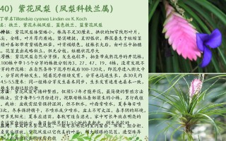 春季植物知识大全（春季植物养护要点）