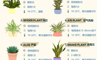 家庭盆栽植物养护知识（家庭盆栽植物养护知识点总结）