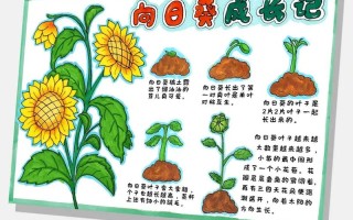 草本植物小知识有哪些呢（草本植物有哪些植物及介绍）