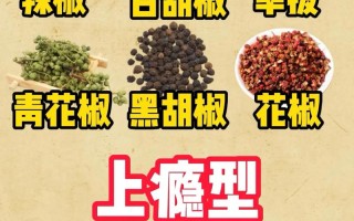 餐饮调味专家植物香料知识和使用（植物类香料）