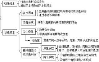 氮代谢与植物的关系（植物氮代谢通路图）