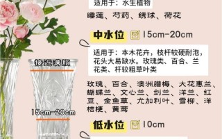 东北鲜花绿植怎么养护和管理（东北多年生花卉）