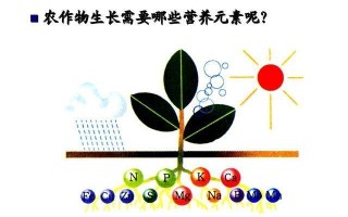 大量元素与植物的关系（就大量元素和微量元素在植物体中相对比,其作用是）