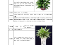 各种植物盆栽养护知识大全（各种植物盆栽养护知识大全图解）