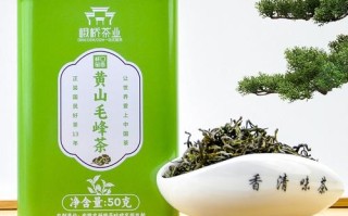 白毛植物百科知识大全（白毛草图片功效与作用）