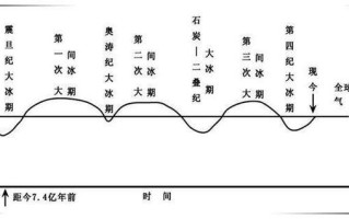 冰河期与植物的关系（与冰河期相对）