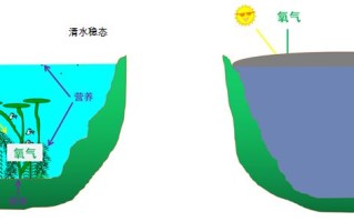 北方植物与水景的关系是什么（北方景观植物配置表）