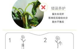 花草植物养护知识（花草植物养护知识点总结）