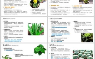 东北越冬绿植养护方法有哪些（东北越冬绿植养护方法有哪些种类）