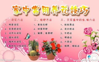 观叶植物养护知识大全（观叶植物1000种经典图鉴）