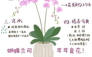 春季植物栽培与养护知识（春季栽植的优缺点）