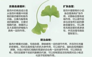 斑叶植物与类黄酮的关系（斑叶植物与类黄酮的关系图）