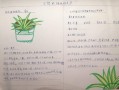 城市植物科普知识内容（城市植物科普知识内容怎么写）