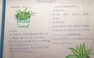 城市植物科普知识内容（城市植物科普知识内容怎么写）