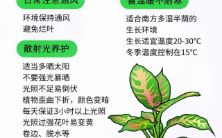 彩叶植物与环境的相互关系（彩叶植物在园林景观中的应用）