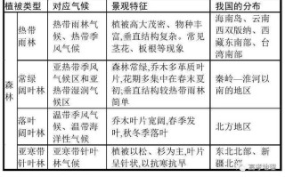 大气与植物的生态关系（大气与植物的生态关系图）