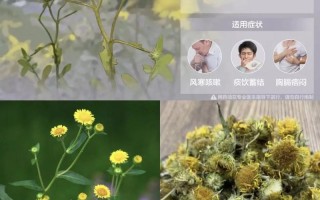 半夏植物百科知识（半夏中药百科）