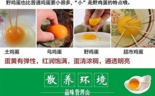 草场与植物营养的关系（草场植被是什么意思）