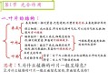 不同植物的叶片与环境的关系（叶片与植物生长环境有什么关系）