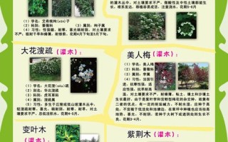 百科小知识关于植物（百科小知识关于植物的知识）