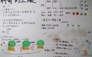 本土植物与本地环境的关系（什么是本土植物）