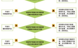 关于绿化植物的养护知识（关于绿化植物的养护知识有哪些）