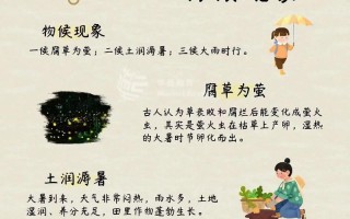 大暑与植物变化特点的关系（大暑与植物变化特点的关系是什么）