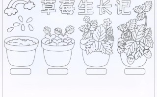 草莓植物小知识大全（草莓类植物）