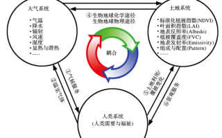 大气与植物之间的生态关系（大气与植物之间的生态关系是什么）