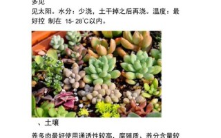 各类植物养护知识（各类植物养护知识大全）