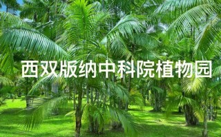 蚕丝纺织品与植物精油的关系（蚕丝精油的使用方法）