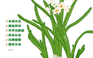 草本植物价值科普知识有哪些（草本植物解释）