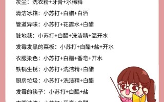 冬瓜观音绿植怎么养护（冬瓜盆栽方法）