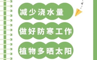 冬季植物生长养护知识（冬天植物怎么养护防寒）