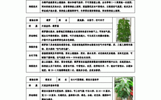 花卉植物养护知识（花卉养护内容）