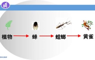 吃昆虫的植物百科知识（吃昆虫的植物百科知识图片）