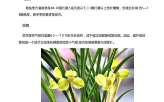 冬天养护植物小知识有哪些（冬季养什么植物）