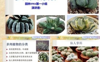 多肉植物冬季养护知识大全（多肉植物冬季的养殖方法和注意事项）