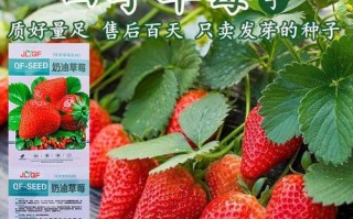 草莓涉及的生物植物知识（草莓涉及的生物植物知识大全）