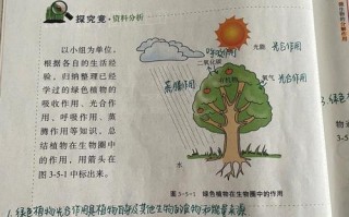 大气与植物的关系（大气与植物的关系是什么）