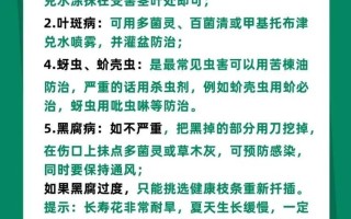 春季中型盆栽植物养护知识（春季种什么盆栽花容易成活）