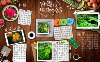 春季植物小知识大全简单（春季植物简笔画图片）