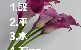 冬季养护植物小知识大全（冬季养护植物小知识大全简短）