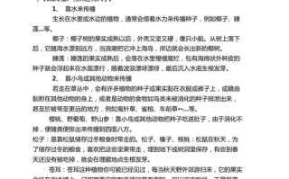 传播知识种子的植物象征（传播种子的意义是什么）