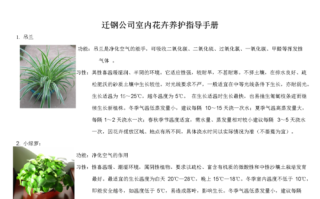 各类植物养护知识大全集（植物护养方法）