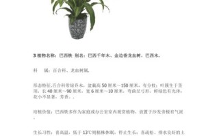 不知道的植物知识（一般人不知道的植物）