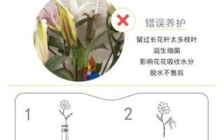 花境植物养护知识（花境植物养护知识点）