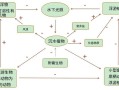 不同类型植物与水的关系（不同类型植物与水的关系有哪些）